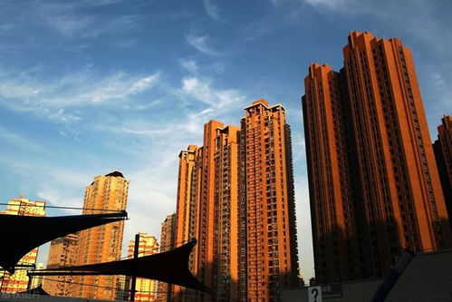 金九 過半,上海樓市量價齊跌,想割韭菜早已沒那么容易