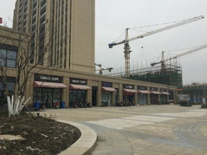 華紡和成未來(lái)派 上海華紡和成未來(lái)派配套實(shí)景圖,樣板間,效果圖,戶型圖 上海網(wǎng)易房產(chǎn)