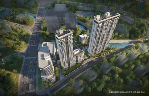 競速‘雙碳’賽道，招商蛇口上海公司勇做綠色革新者